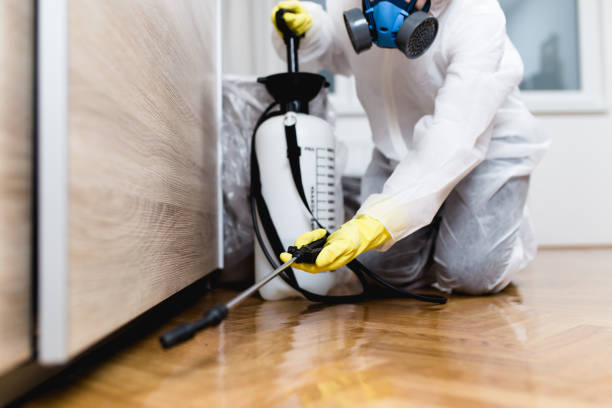 Reliable Cincinnati, OH Pest Control Solutions