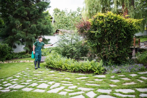 Best Pest Removal Services  in Cincinnati, OH