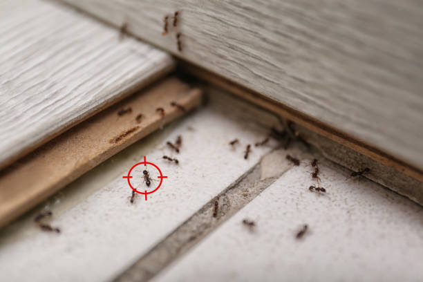 Wildlife Control Services in Cincinnati, OH