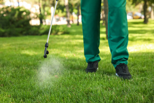 Best Best Pest Control Companies  in Cincinnati, OH
