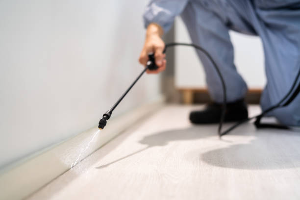 Pest Control Cost in Cincinnati, OH