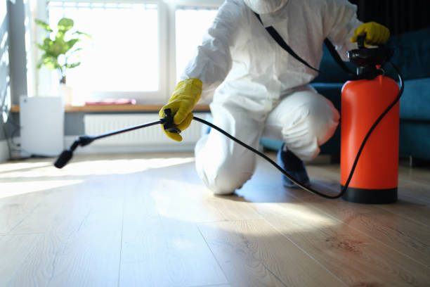 Best Flea Control Services  in Cincinnati, OH