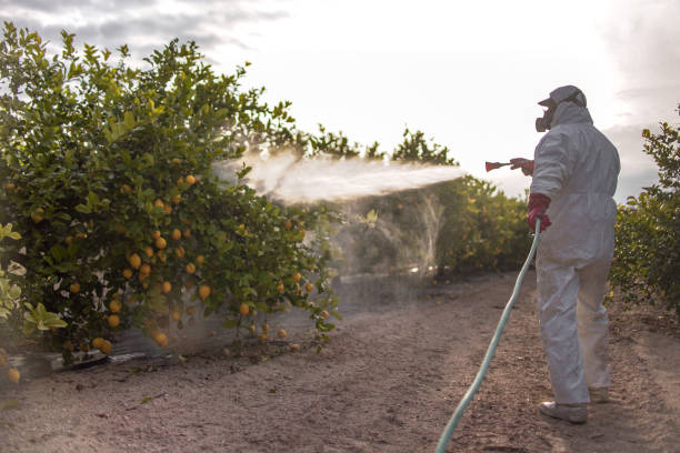 Best Mosquito Control Services  in Cincinnati, OH