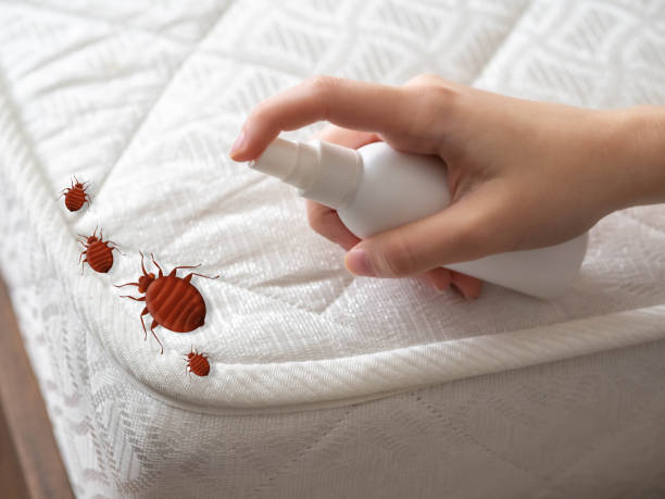 Best Cockroach Control Services  in Cincinnati, OH