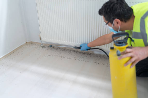 Best Affordable Pest Control Services  in Cincinnati, OH